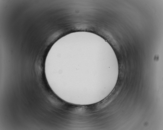 X0000102350116200808291210
