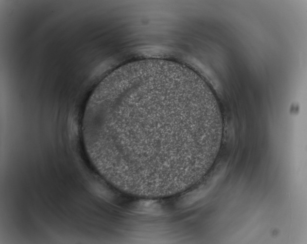 X0000102350117200808291210