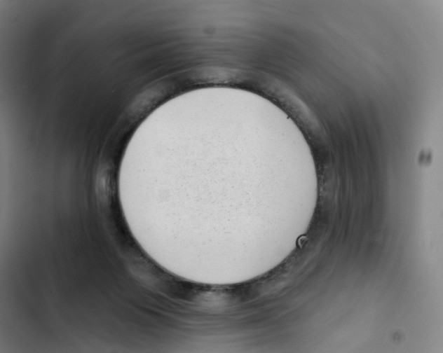 X0000102350119200808291210