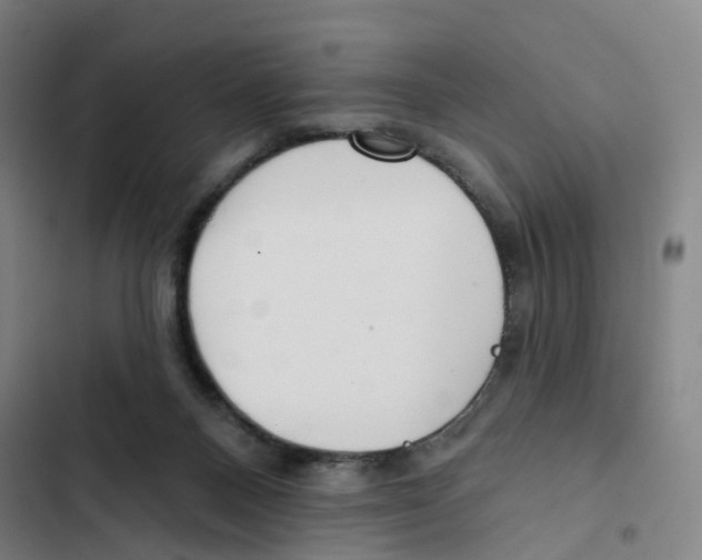X0000102350120200808291210