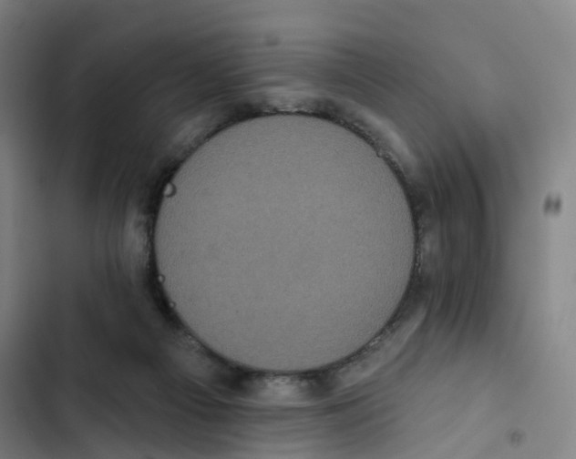X0000102350121200808291210