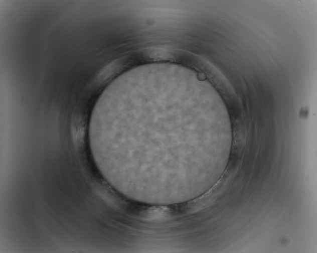 X0000102350124200808291210