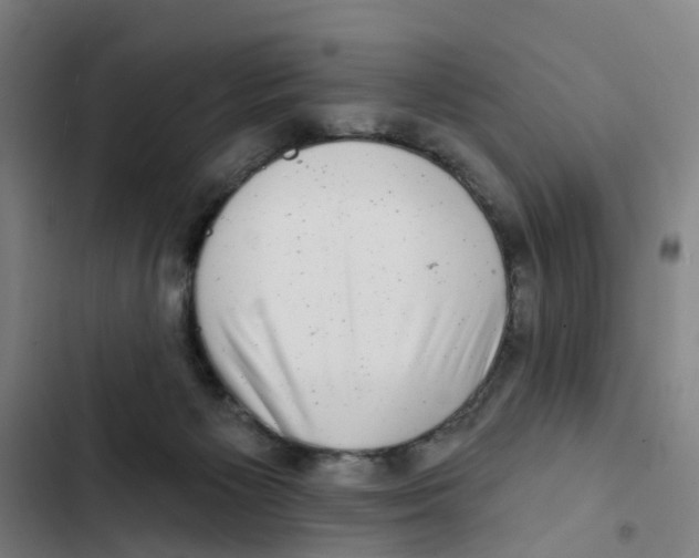 X0000102350125200808291210