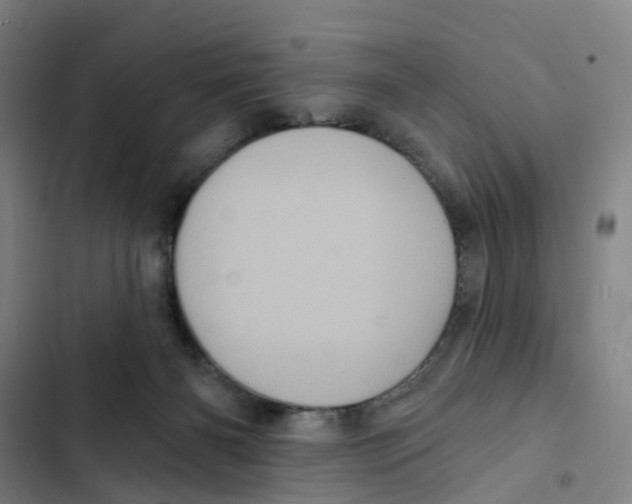 X0000102350126200808291210