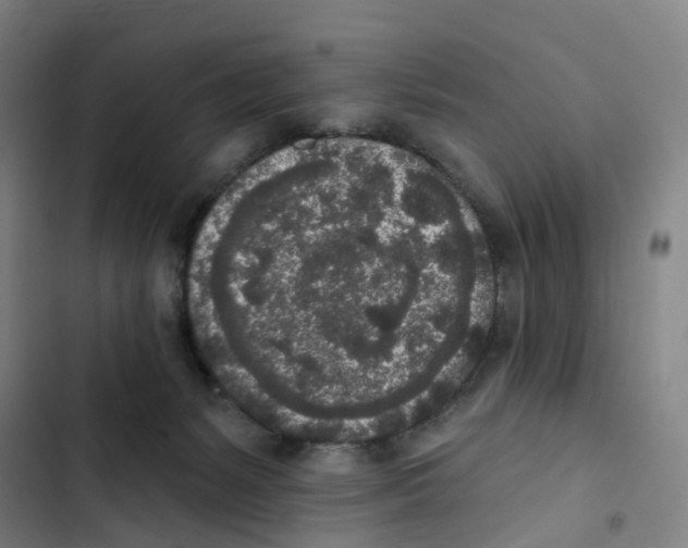 X0000102350127200808291210