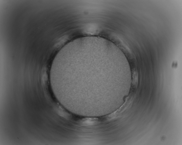 X0000102350128200808291210