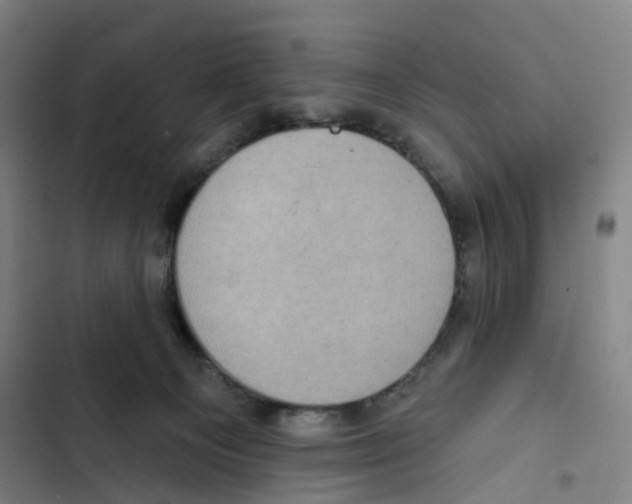 X0000102350129200808291210