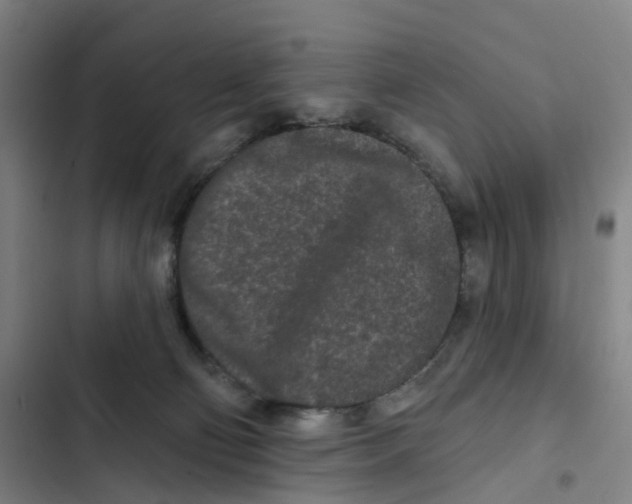X0000102350130200808291210