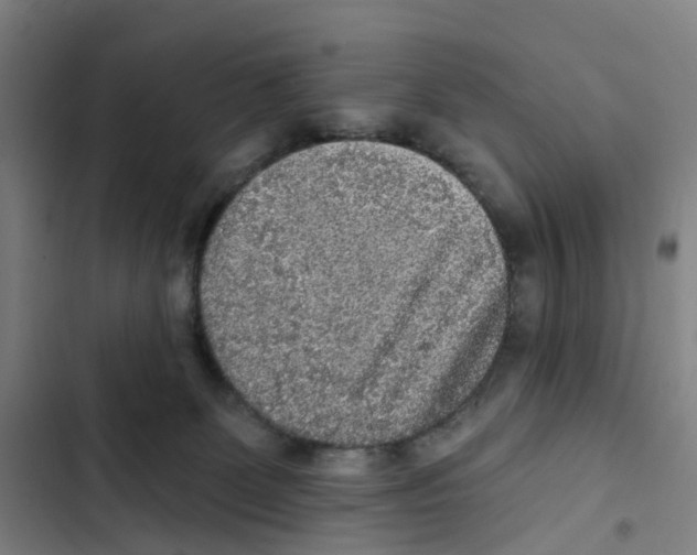X0000102350131200808291210