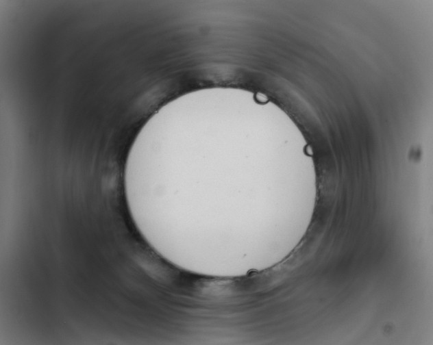 X0000102350132200808291210