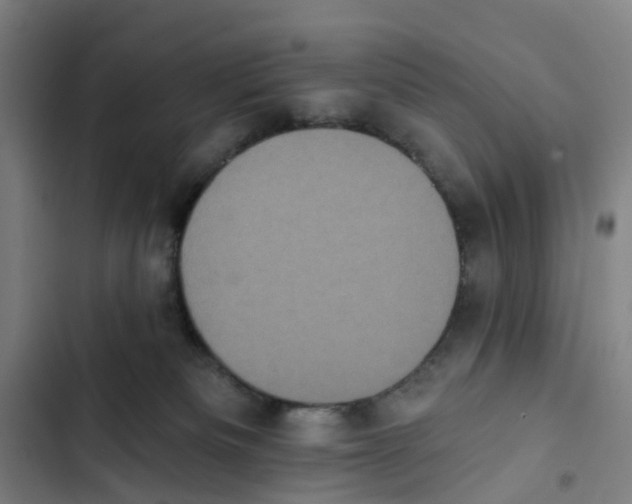 X0000102350133200808291210