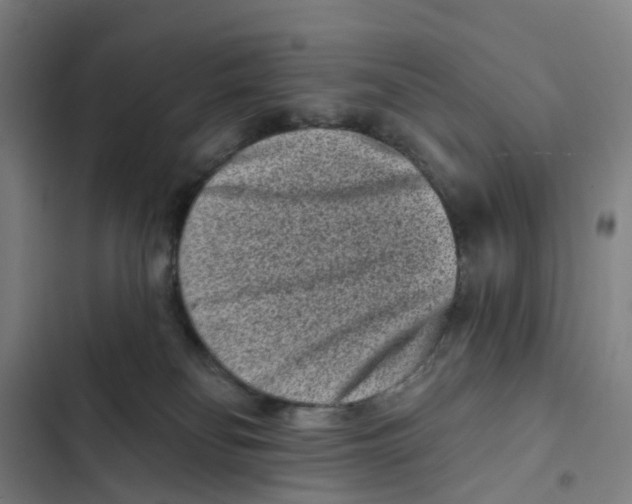 X0000102350134200808291210
