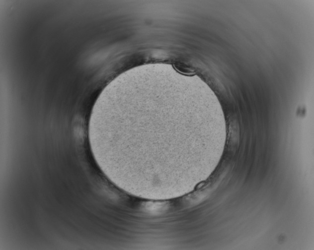 X0000102350135200808291210