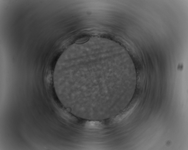 X0000102350137200808291210