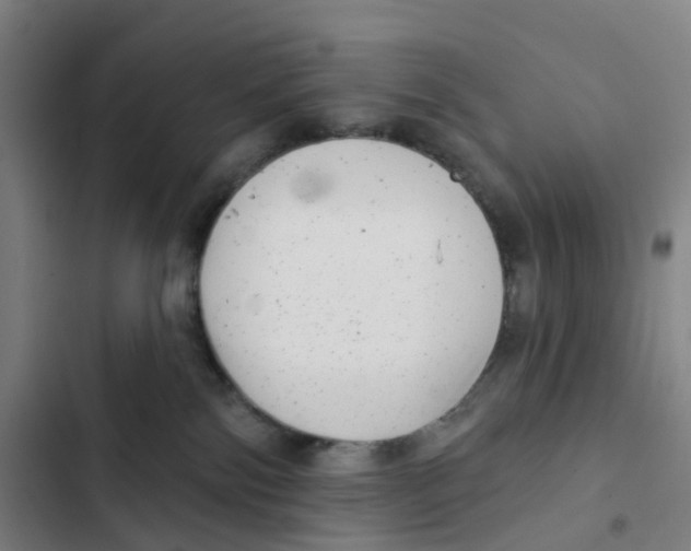 X0000102350138200808291210