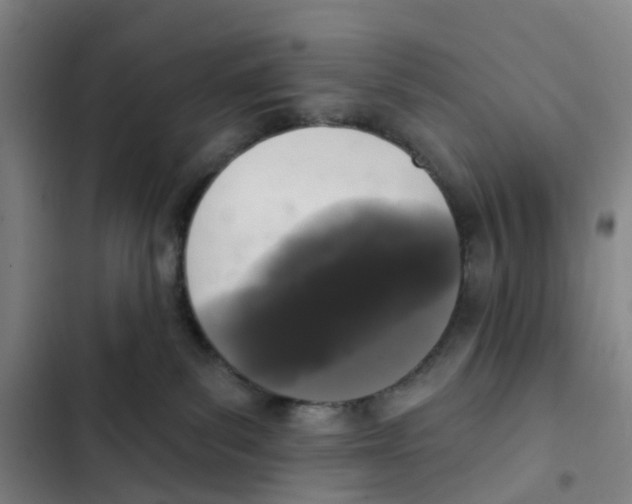 X0000102350139200808291210