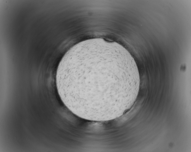 X0000102350140200808291210