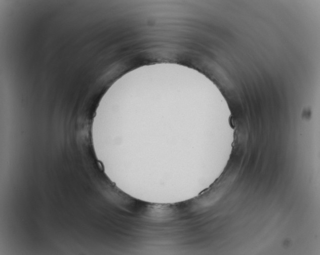 X0000102350141200808291210