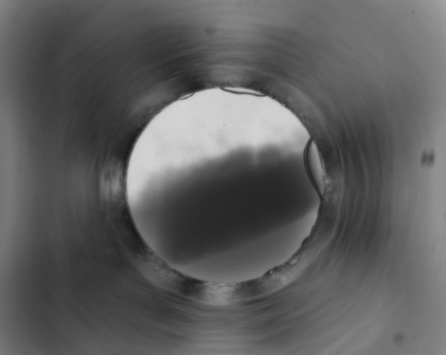 X0000102350143200808291210