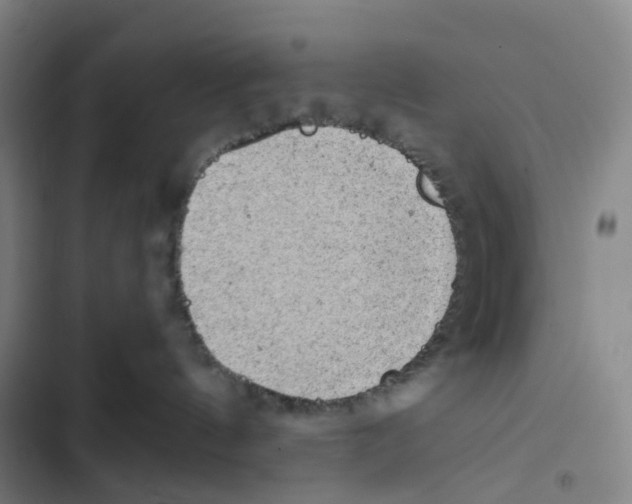 X0000102350144200808291210