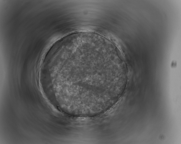 X0000102350145200808291209