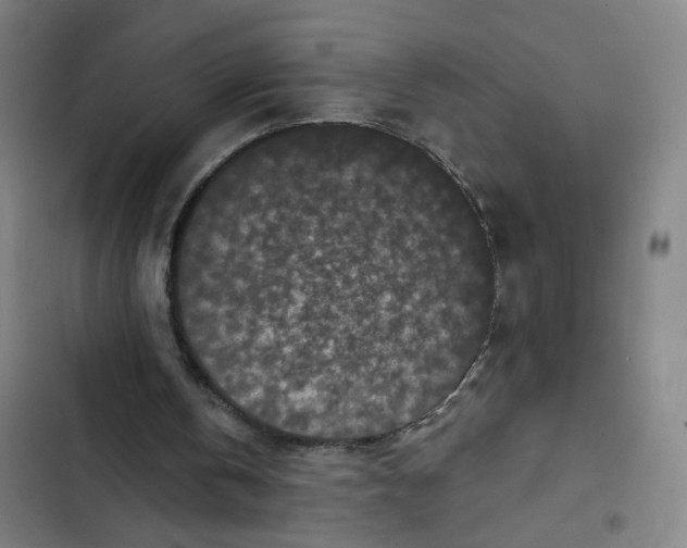 X0000102350146200808291209