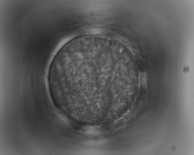 X0000102350147200808291209