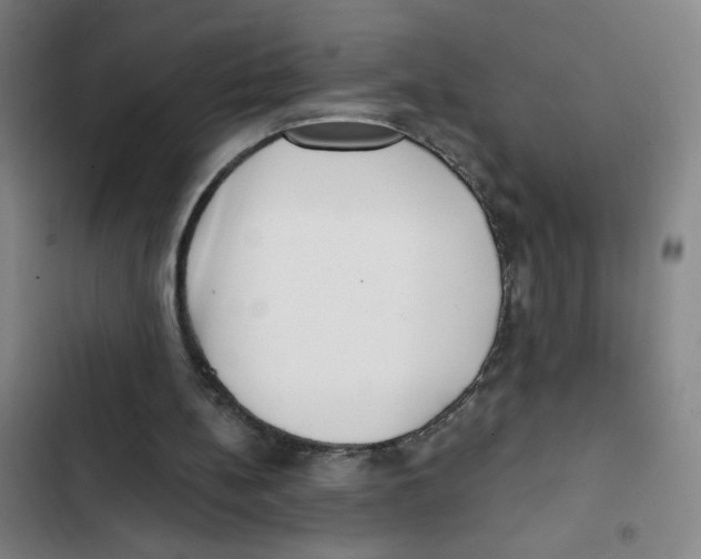 X0000102350148200808291209