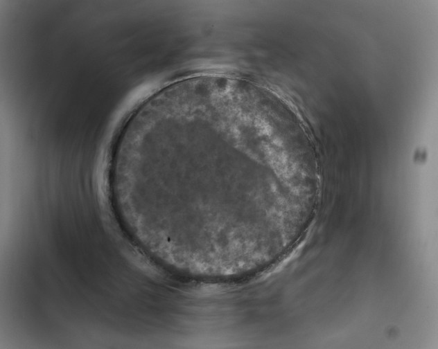 X0000102350149200808291209