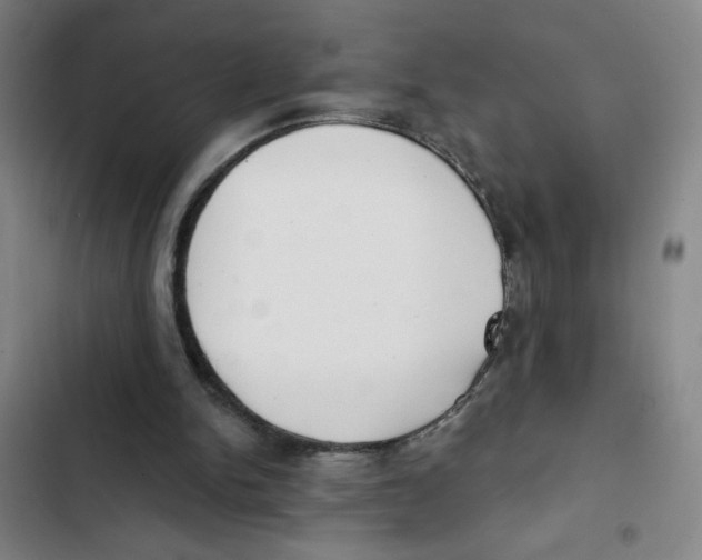 X0000102350150200808291209