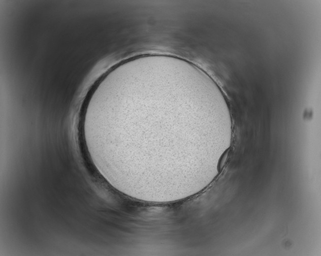 X0000102350151200808291209