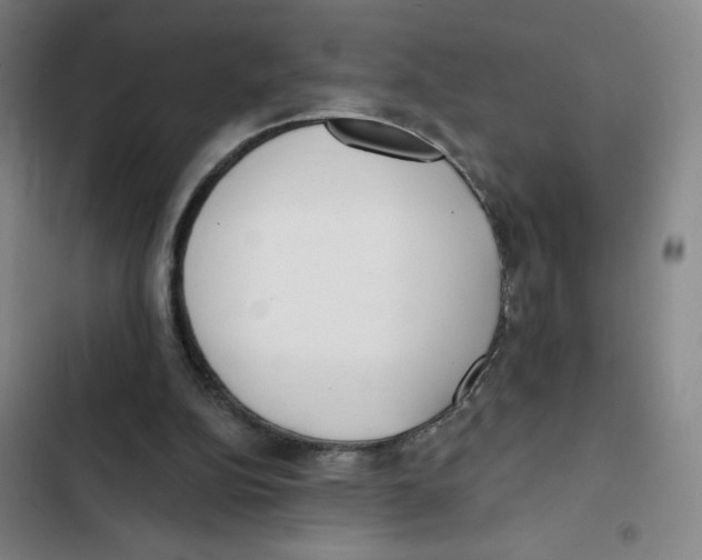 X0000102350152200808291209