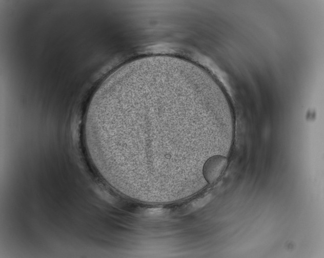 X0000102350153200808291209