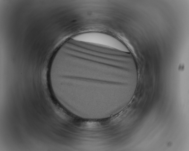 X0000102350154200808291209