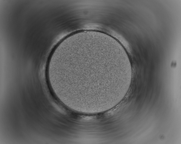 X0000102350155200808291209