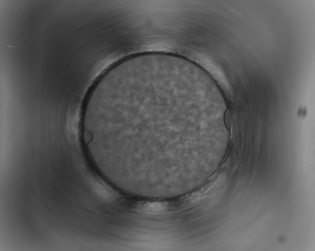 X0000102350156200808291209