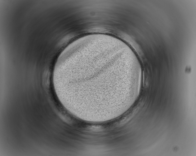 X0000102350157200808291209