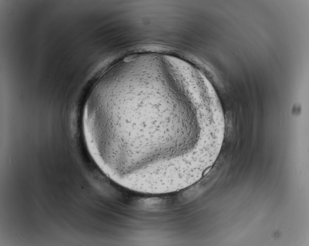 X0000102350158200808291209