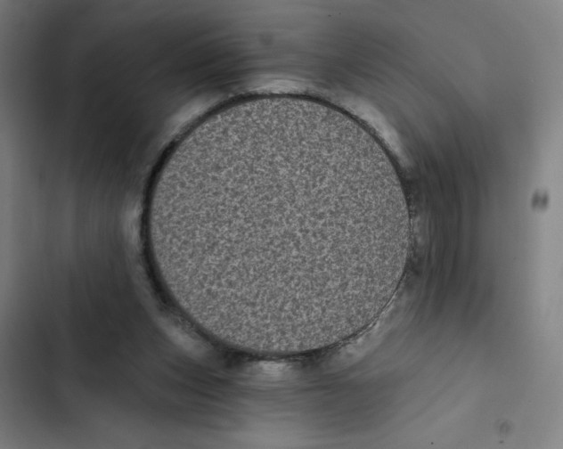 X0000102350159200808291209