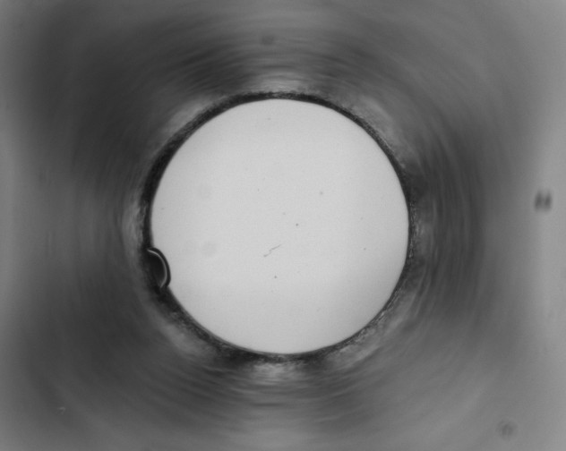 X0000102350160200808291209