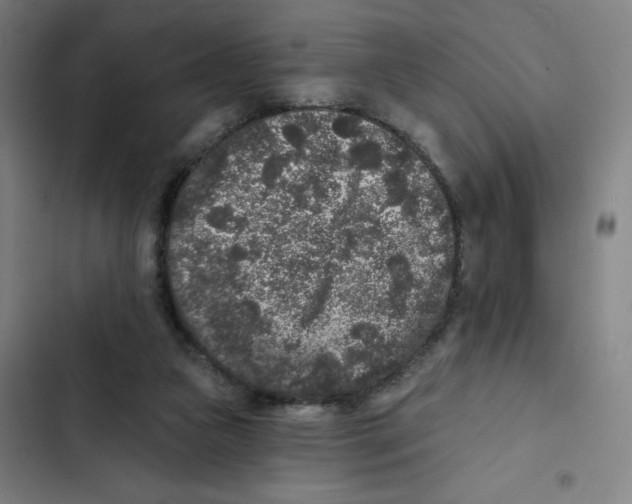 X0000102350161200808291209