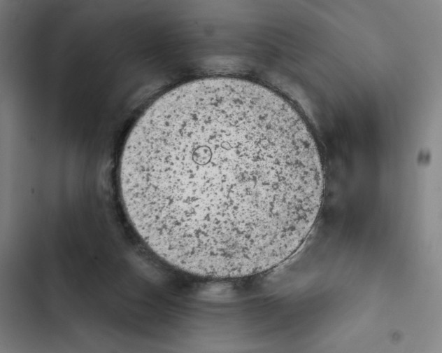 X0000102350162200808291209