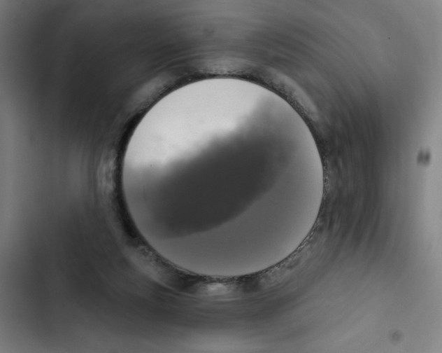 X0000102350163200808291209