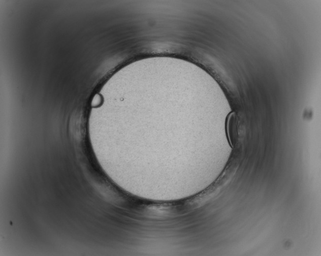 X0000102350164200808291209