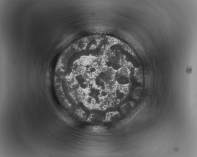 X0000102350165200808291209