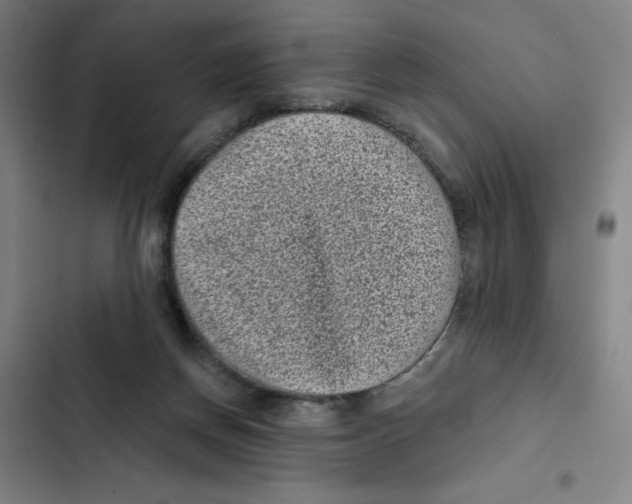 X0000102350166200808291209