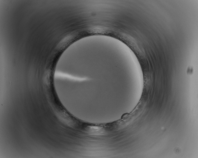 X0000102350167200808291209