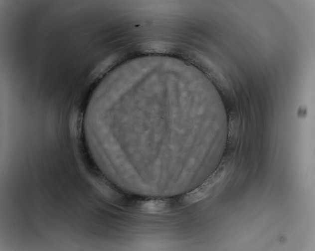 X0000102350168200808291210
