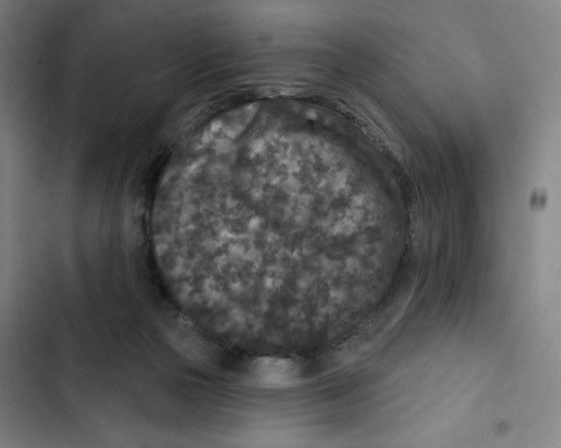 X0000102350169200808291210