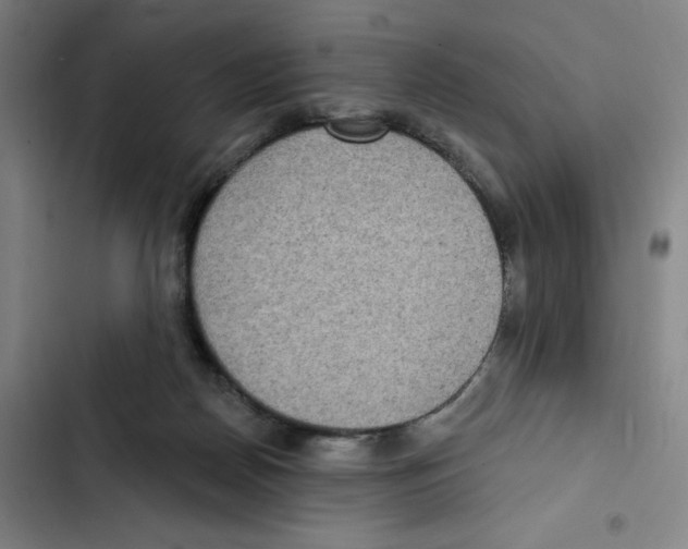 X0000102350170200808291210